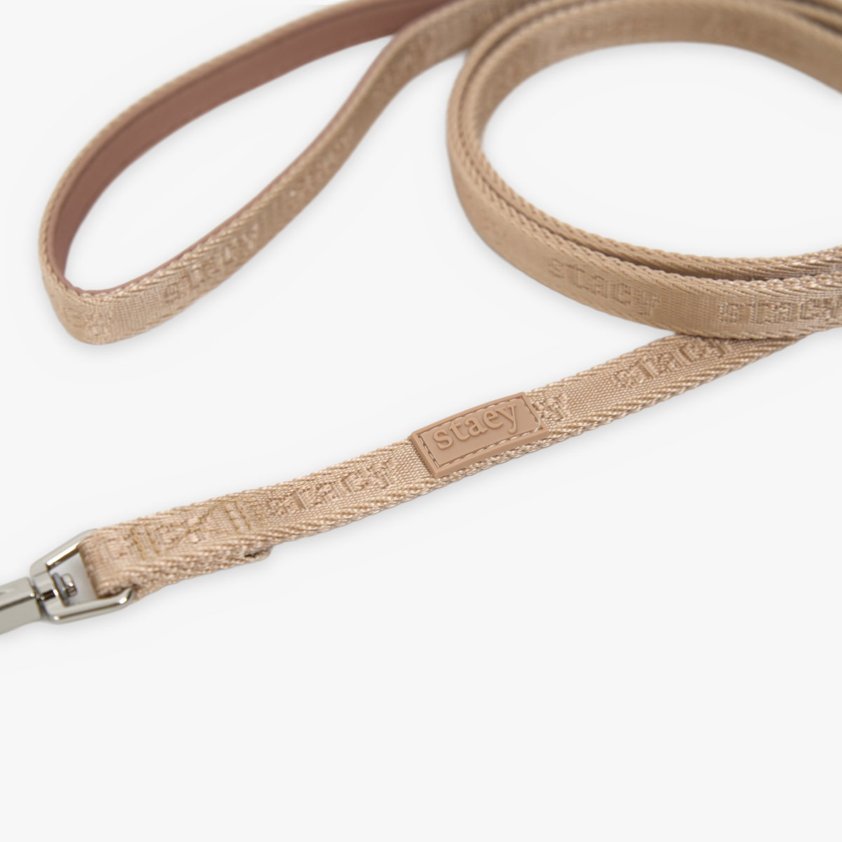 Laisse à sangle pour chiot | Light Rose