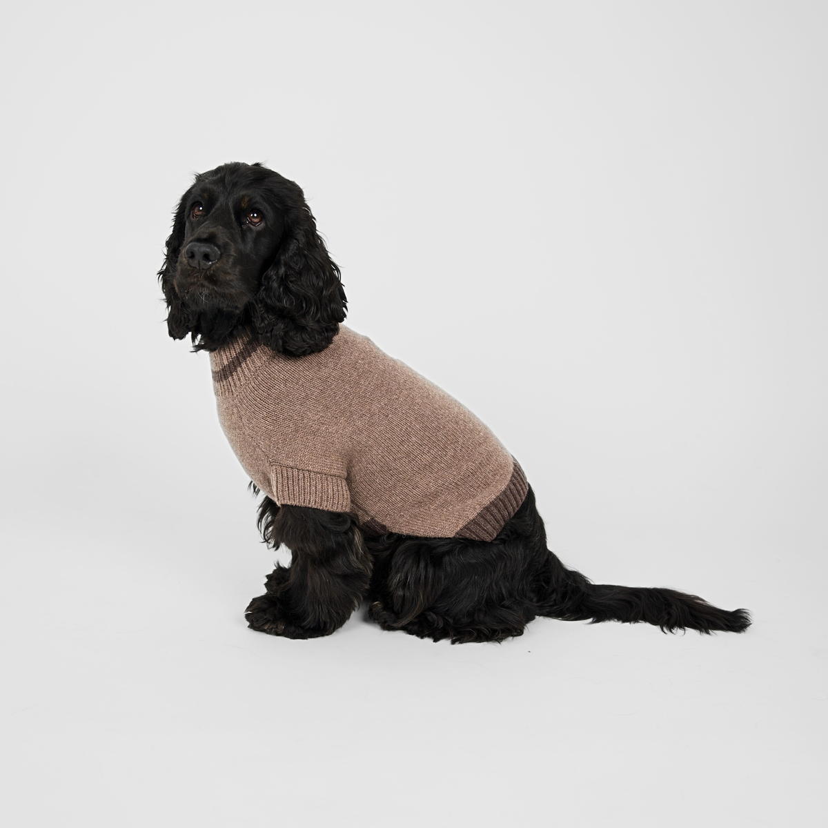 Ellen Hondentrui | Taupe/Espresso