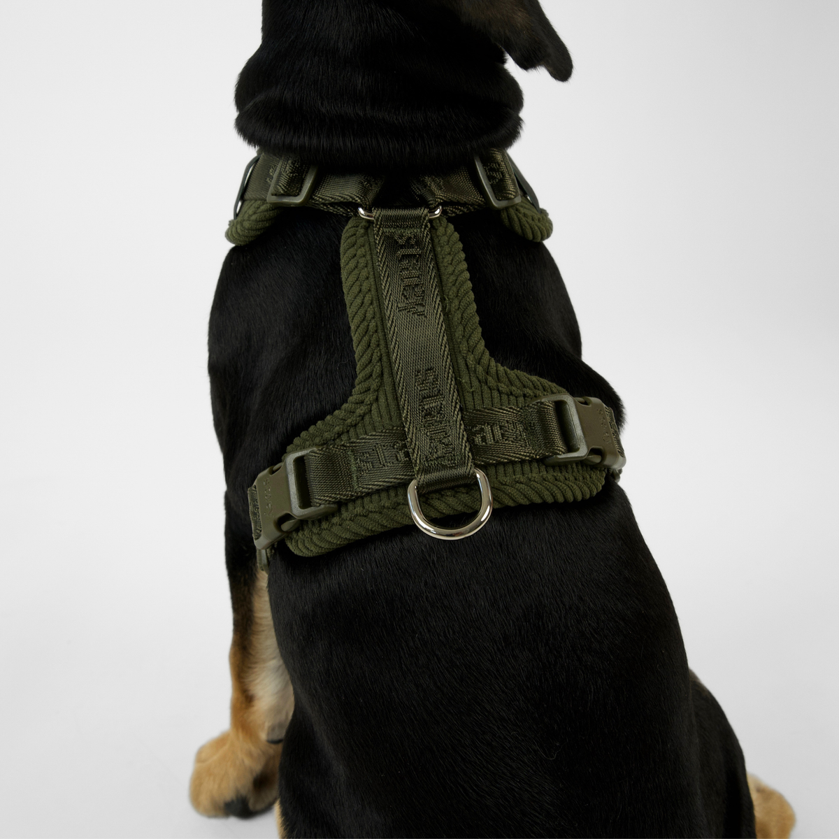 Black and tan dog seen from behind in the moss green Numa harness
