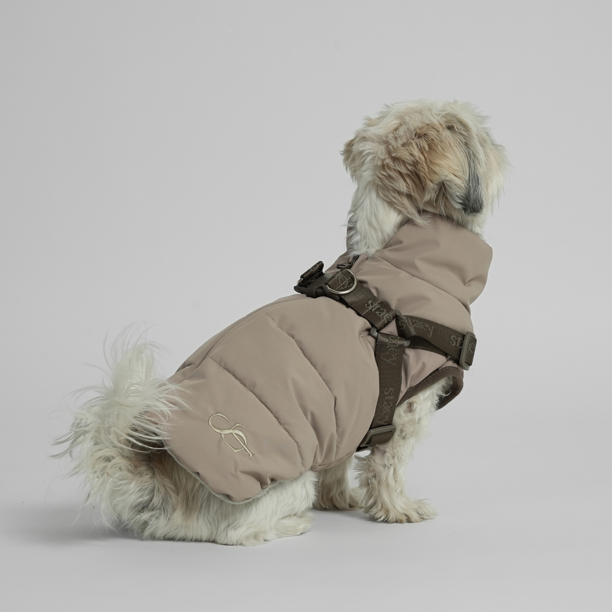 Een shih tzu die in een taupe gekleurde gewatteerde jas met harnas zit, gezien van achteren