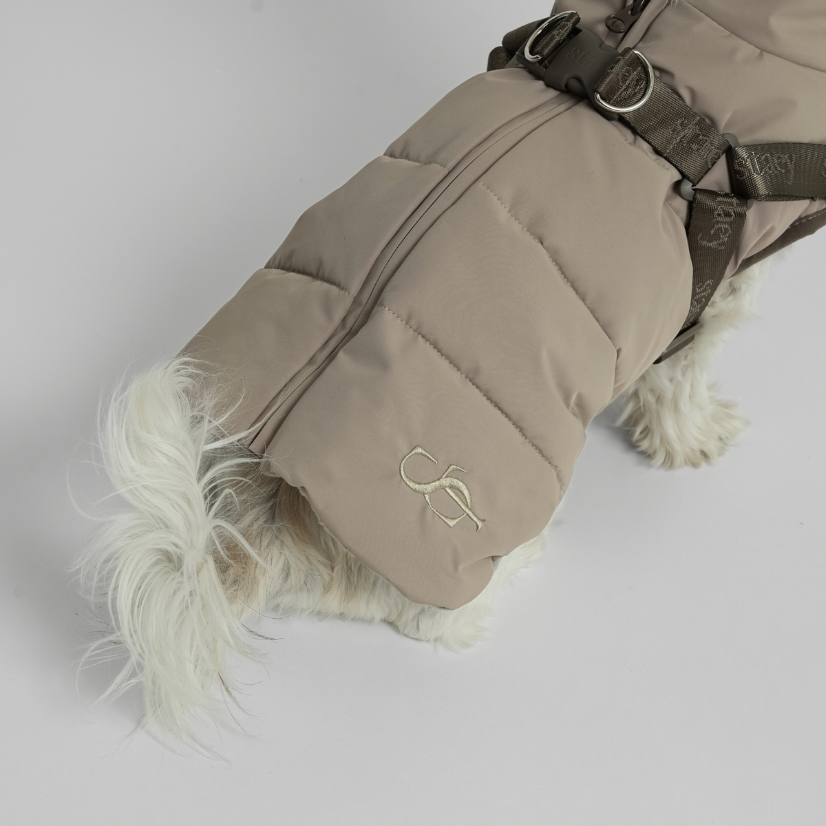 Close-up van de taupekleurige gewatteerde jas en het hondentuig op de rug van een witte hond