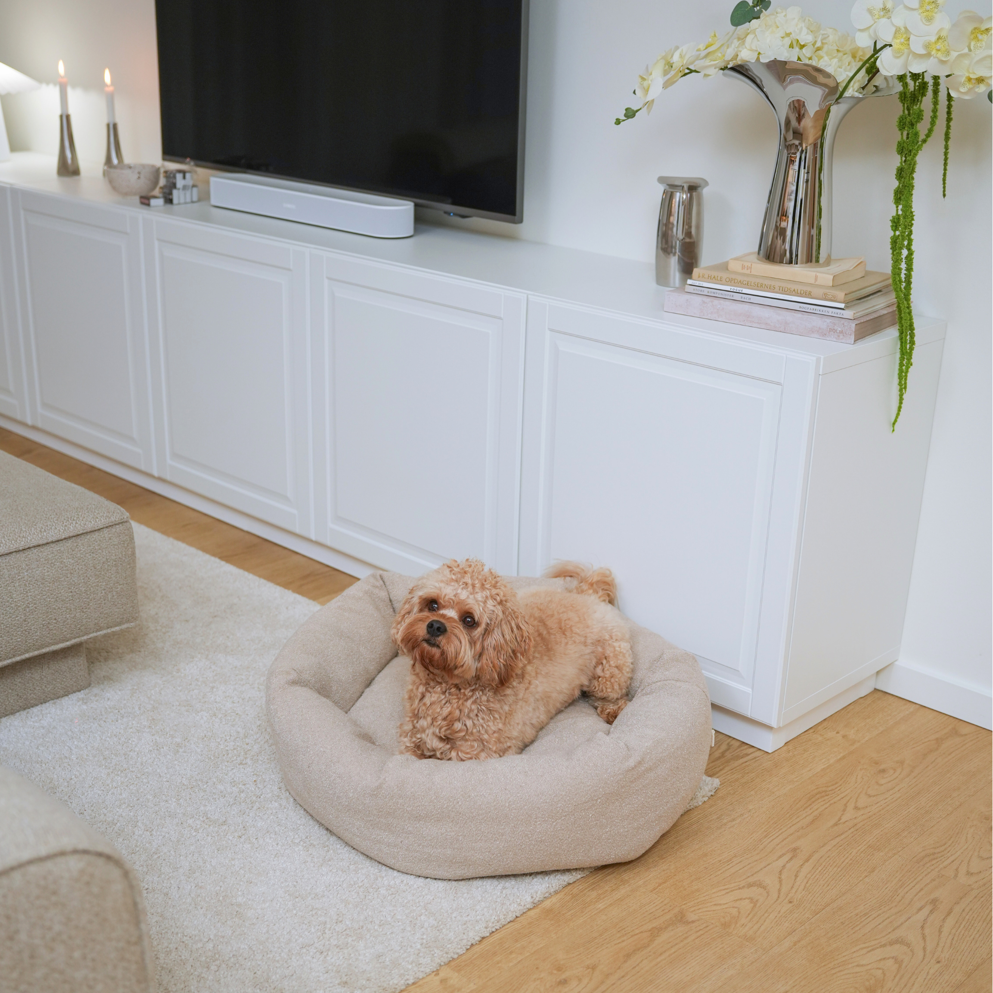 Lit pour chien Luna 3.0 | Oat Bouclé
