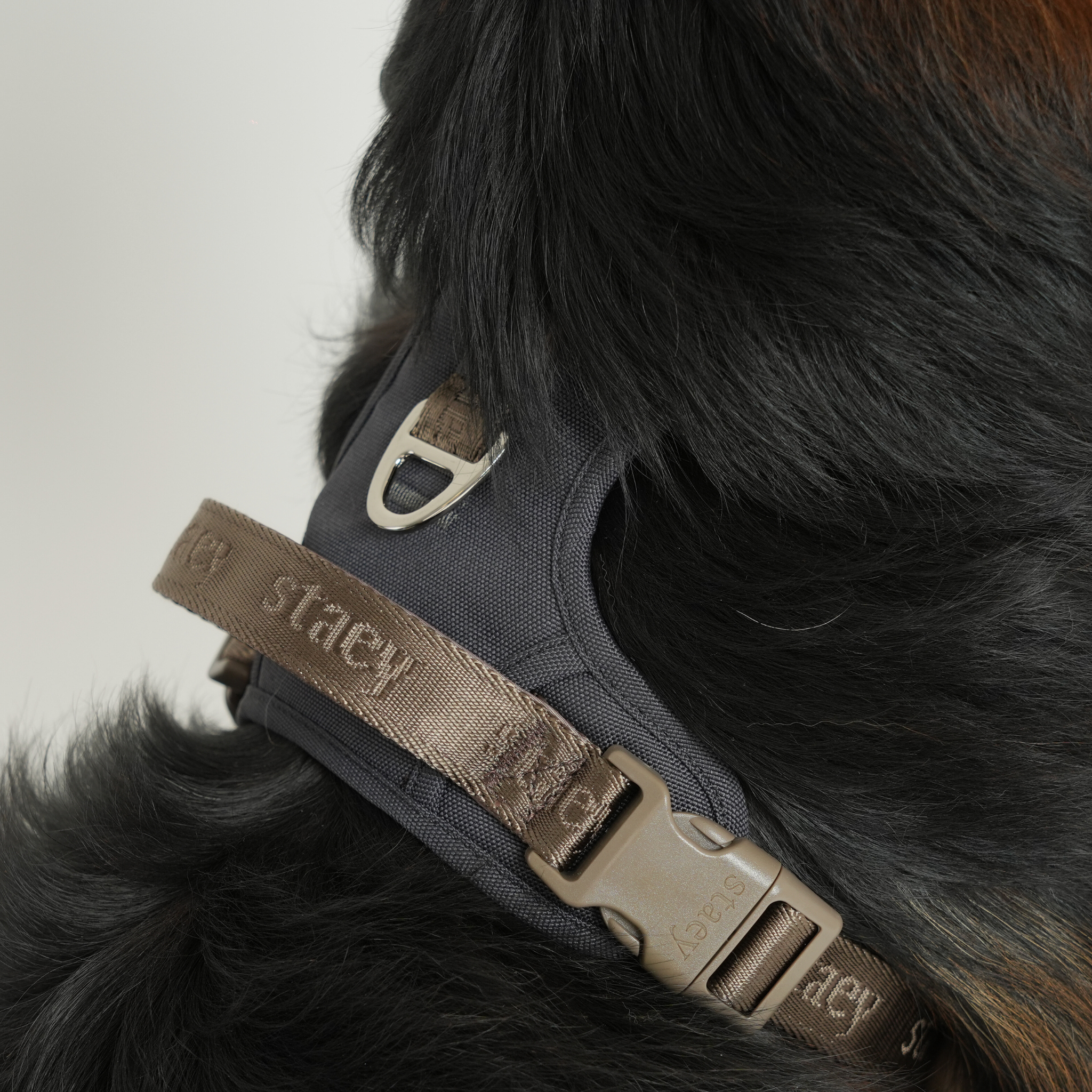 Elma Active hondentuig | Storm