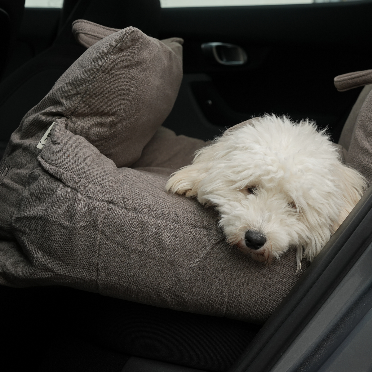 Small white dog lying in a taupe car seat on a car seat