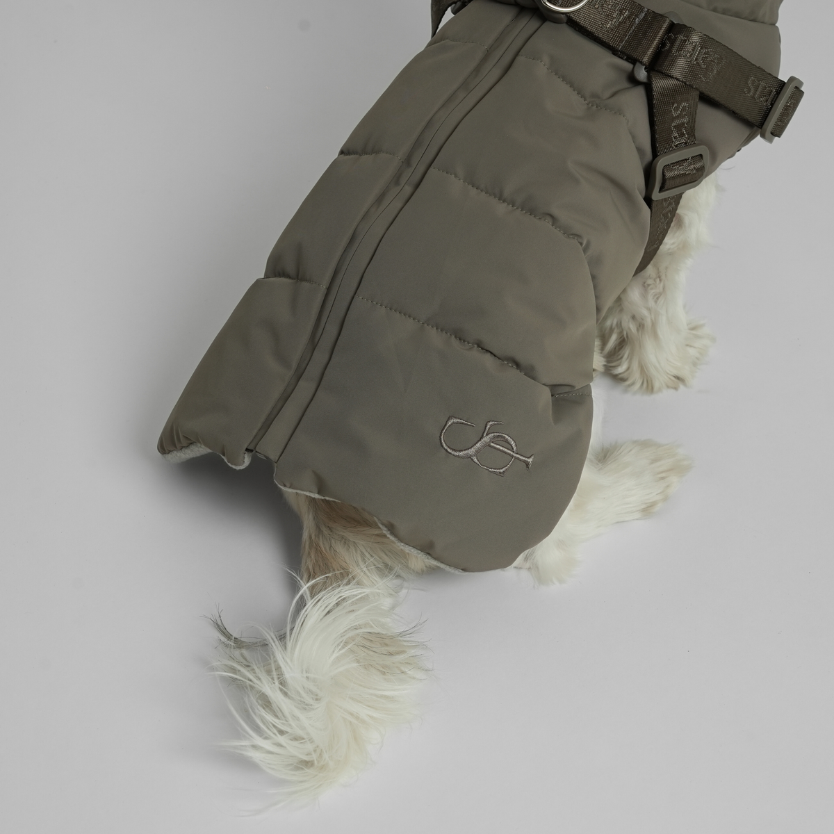 De moss green gewatteerde jas met harnas bij een witte hond, gezien van achteren