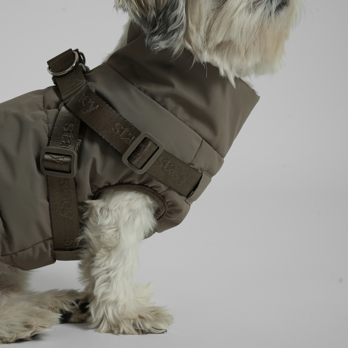 Close-up van de moss green gewatteerde jas en het hondentuig van een witte hond