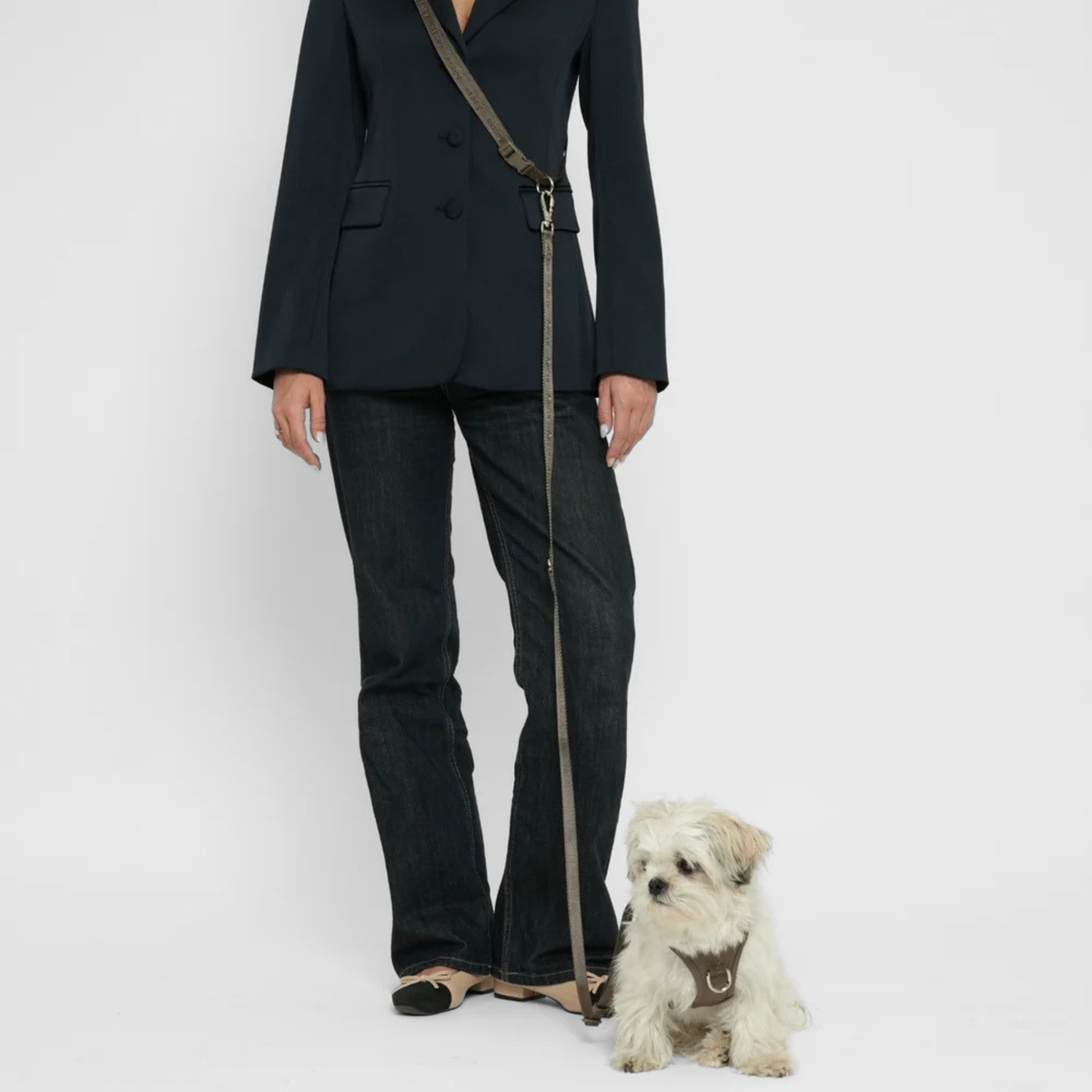 Laisse pour chien mains libres | Taupe