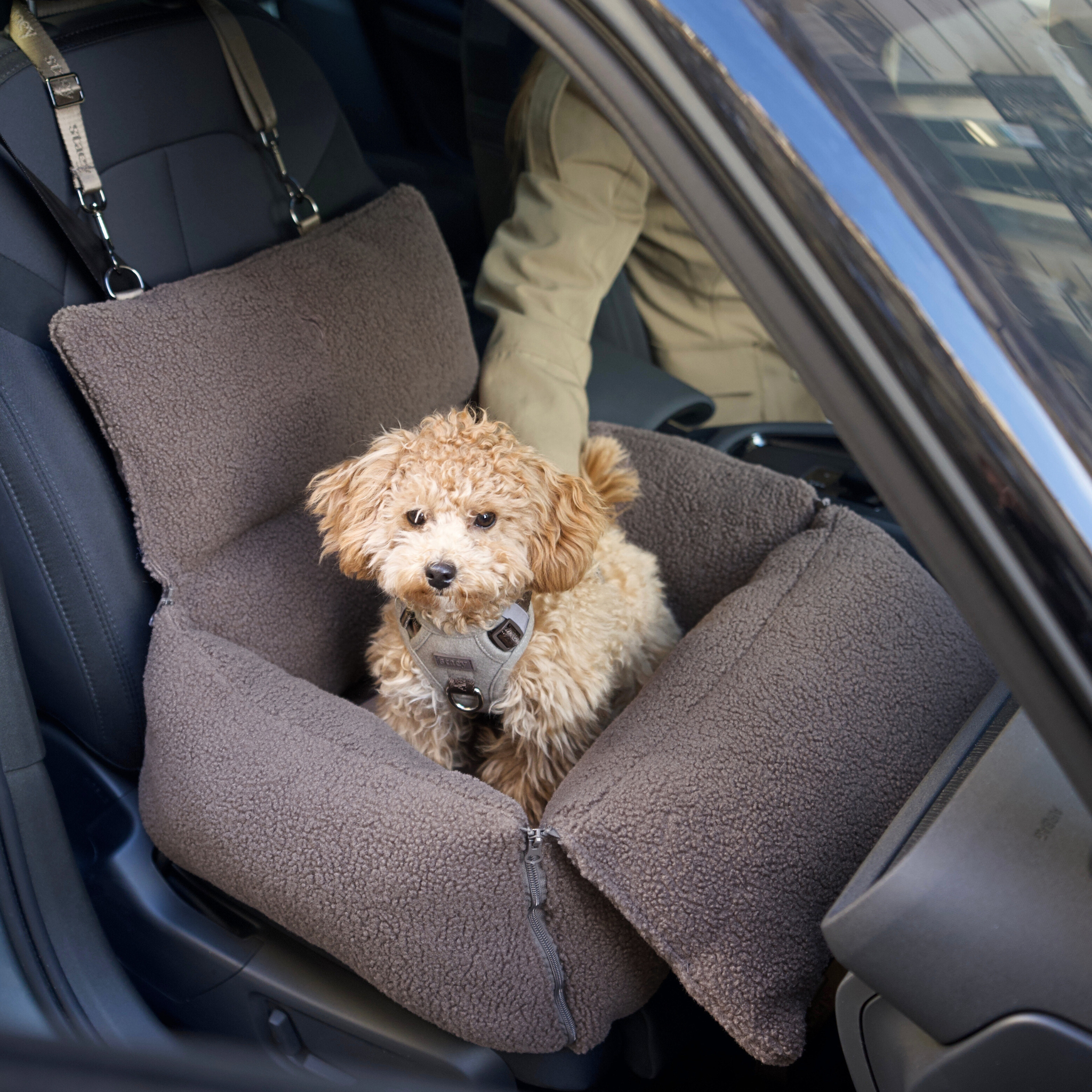 Clara 3-in-1 Autostoel voor Honden | Limited Edition