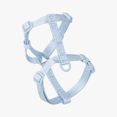 Harnais en H pour chiot | Sky Blue