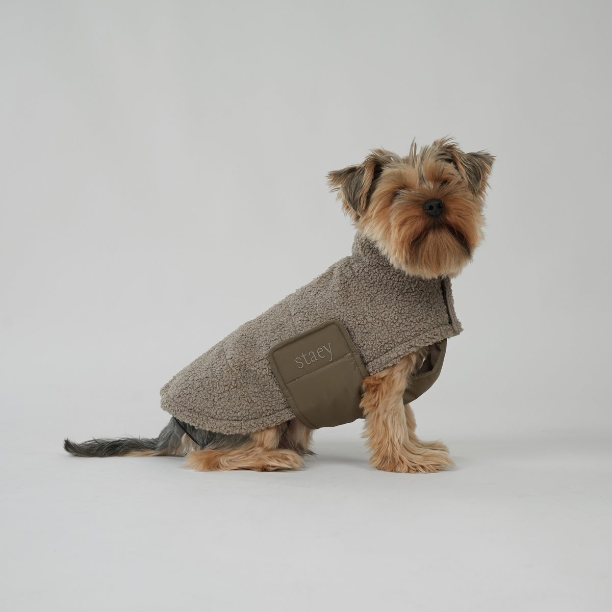 Yorkshire terrier wearing a moss green teddy dog coat