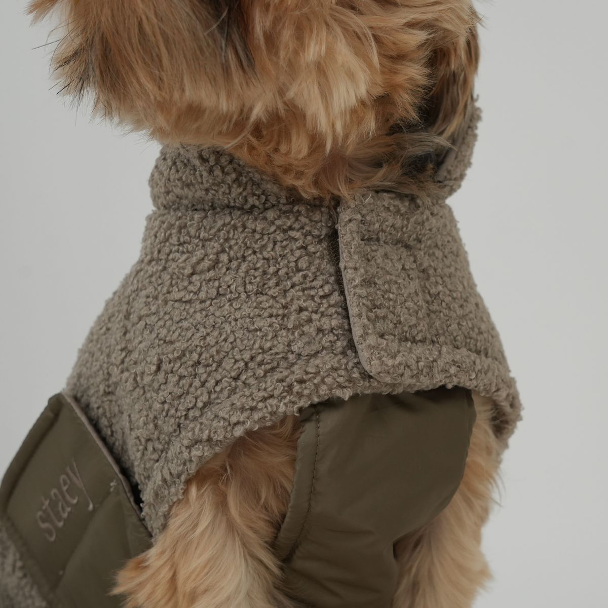 Close-up of the taupe teddy dog coat on a Yorkshire terrier's back