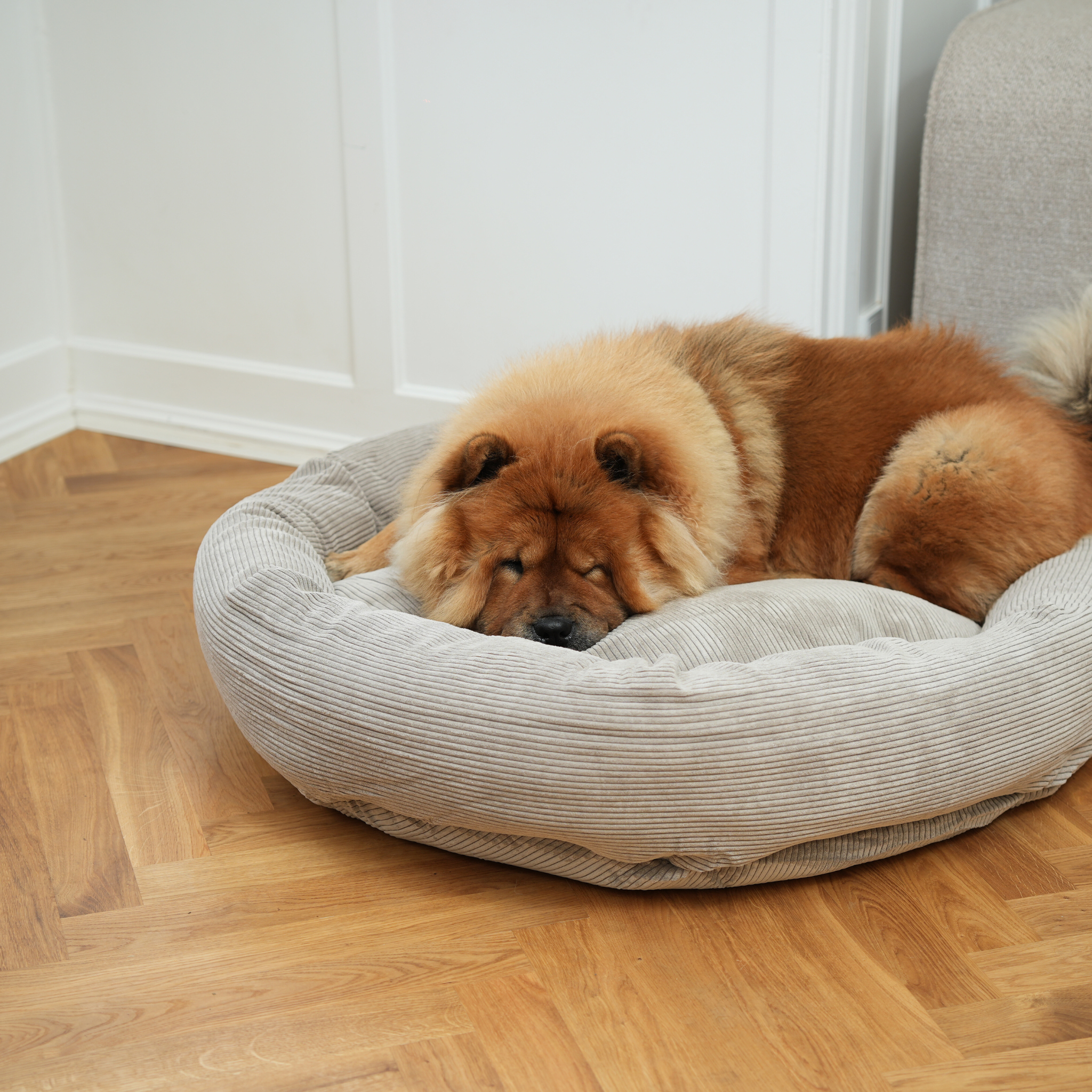 Lit pour chien Luna 3.0 | Dune Corduroy