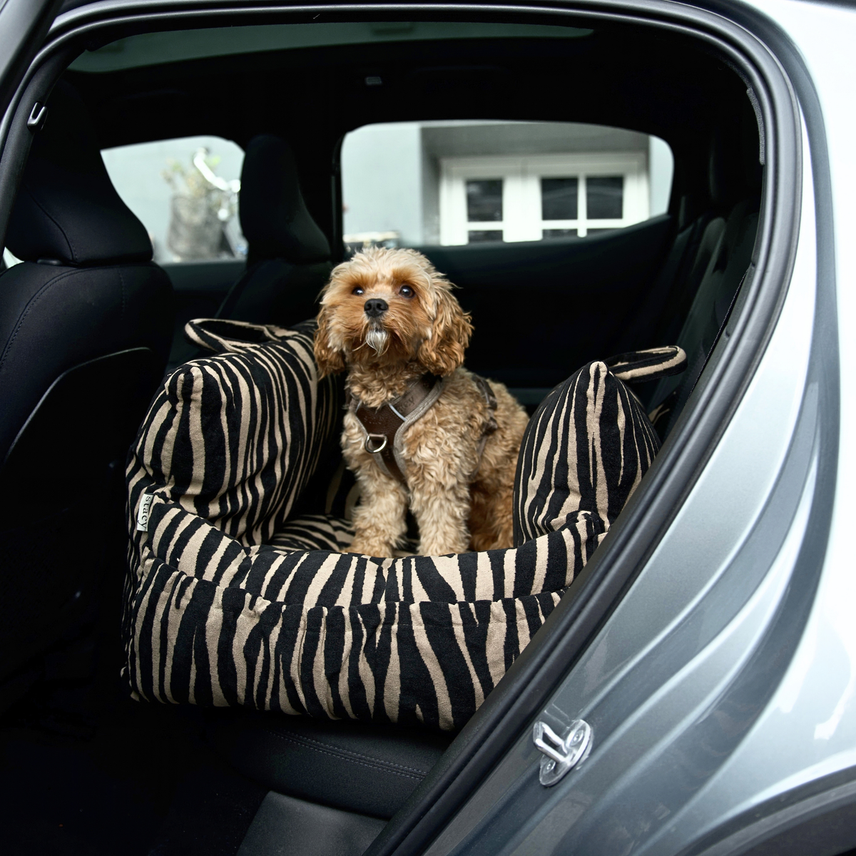 Lara Autostoel voor Honden | Zebra 2.0