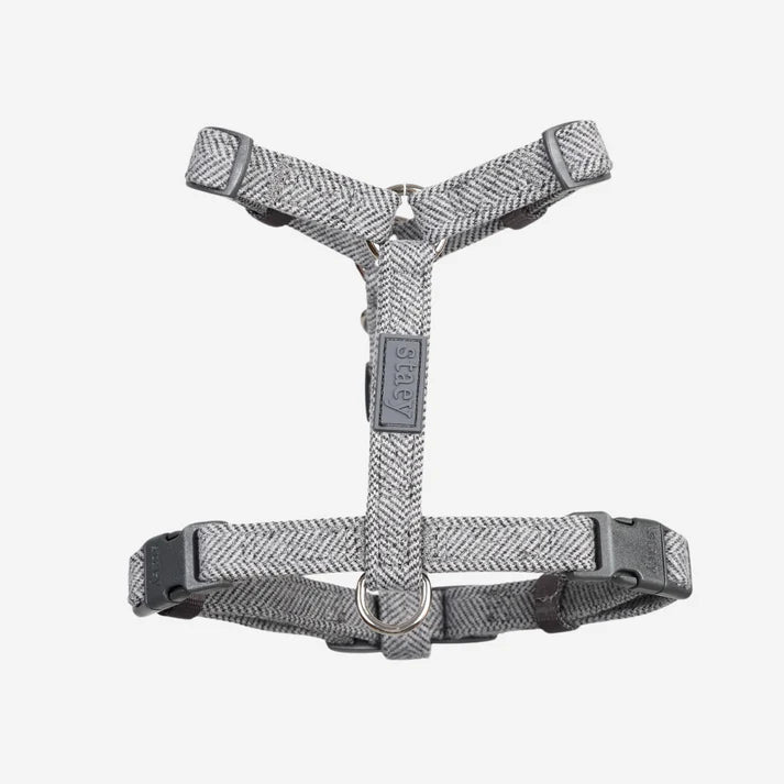 Tara H-Hondentuig | Dusty Blue