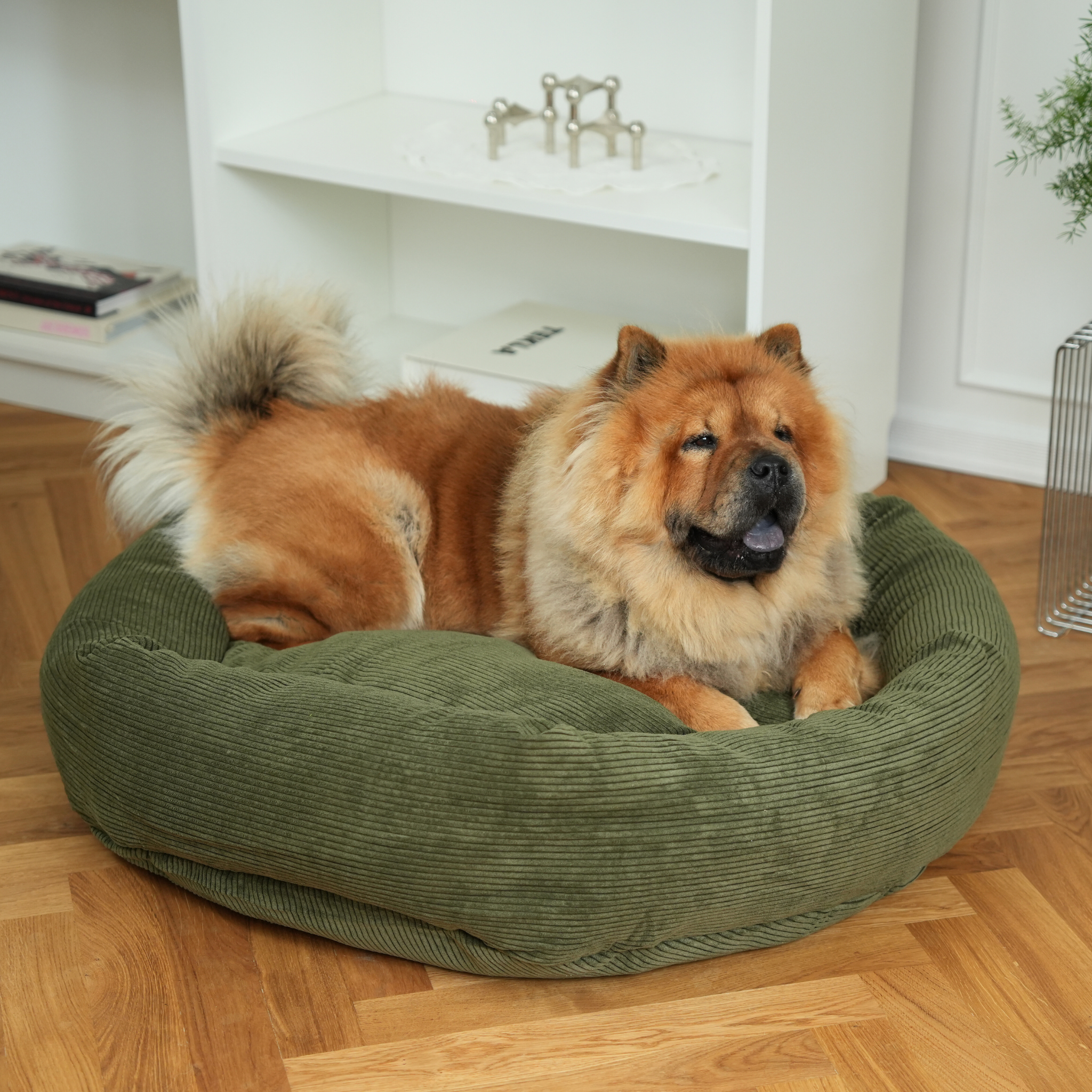Luna hondenmand 3.0 | Moss Green Corduroy