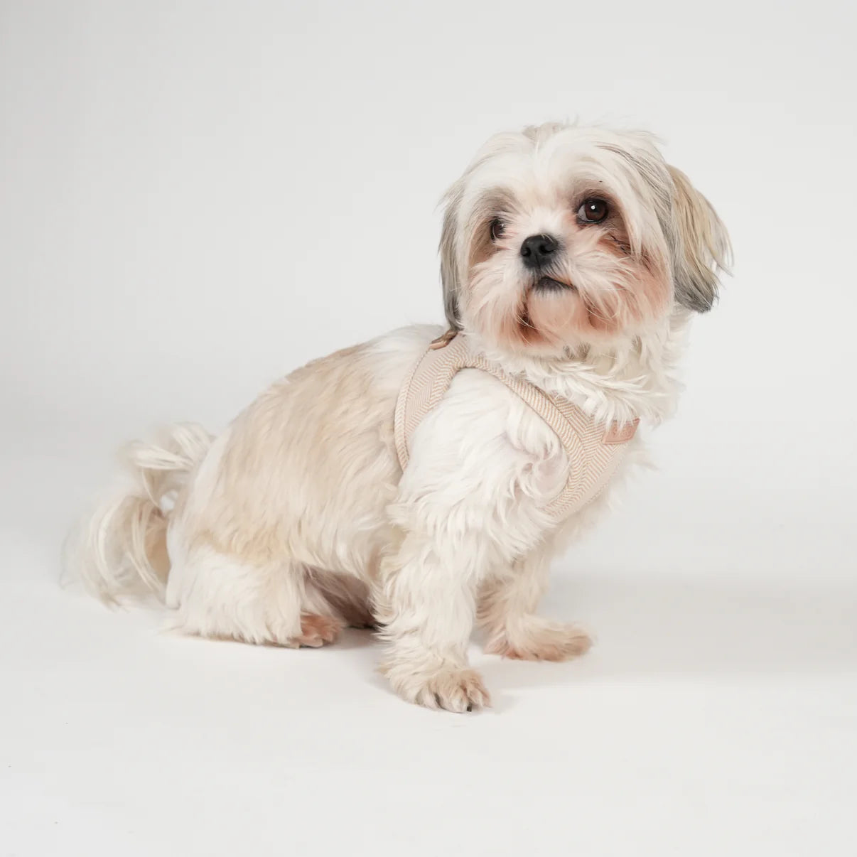 Saga Step-in hondentuig | Light Rose