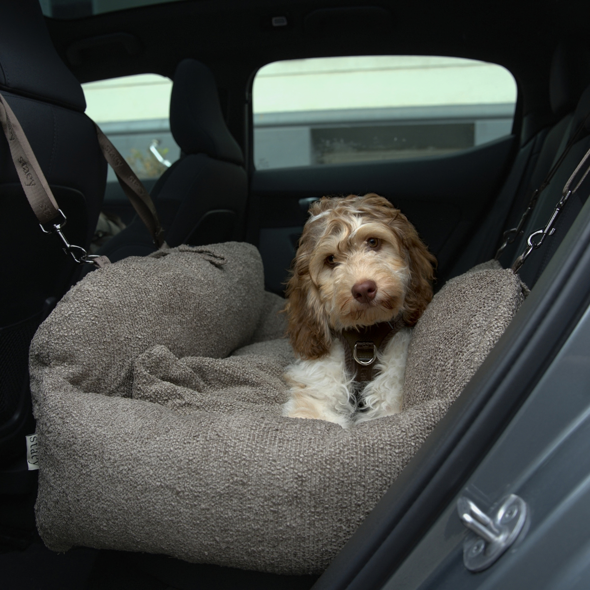 Siège auto 2-en-1 pour chien Tova XL | Chestnut Bouclé