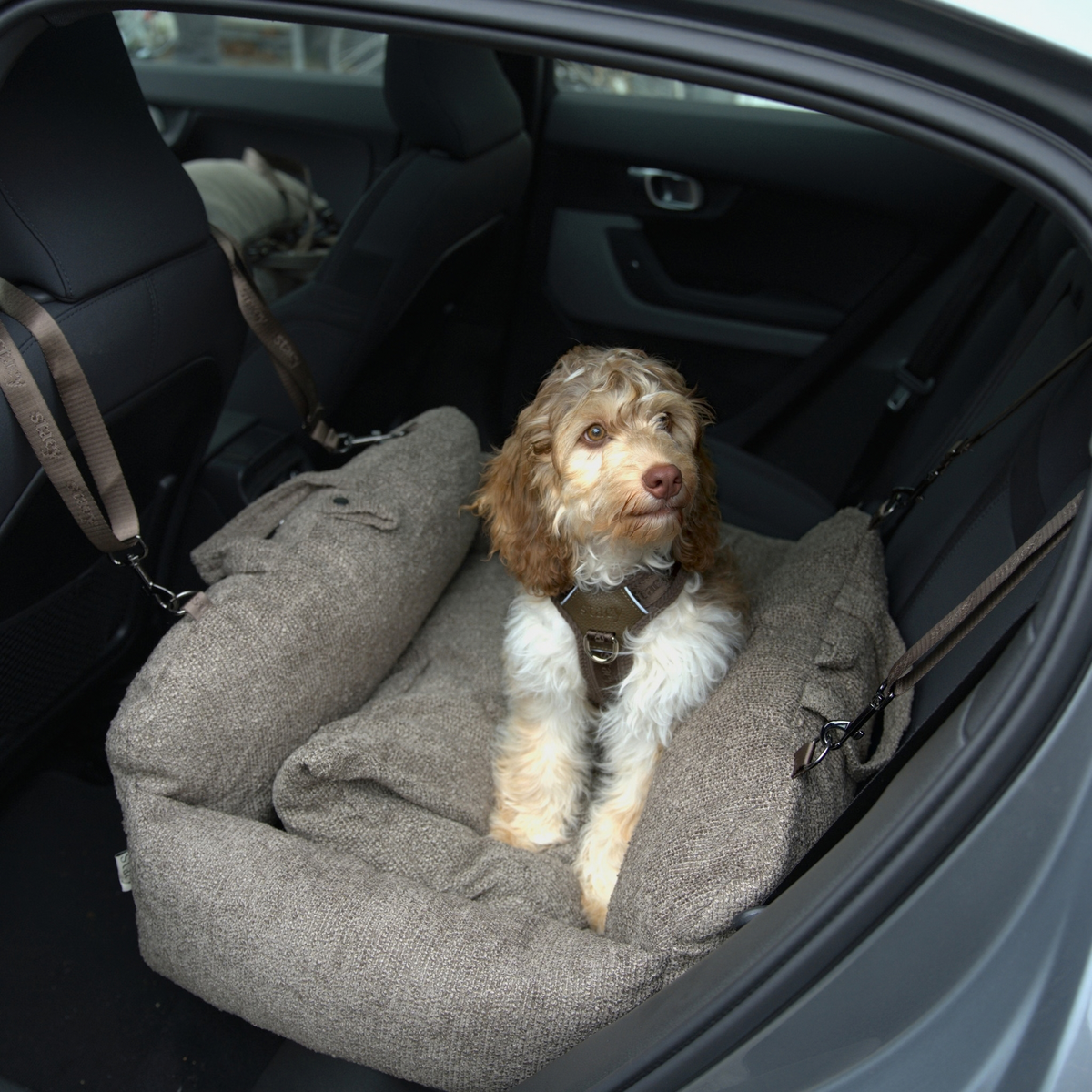 Siège auto 2-en-1 pour chien Tova XL | Chestnut Bouclé