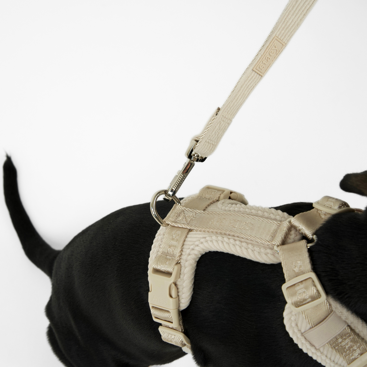 Black and tan puppy on a lead wearing the oat Numa dog harness