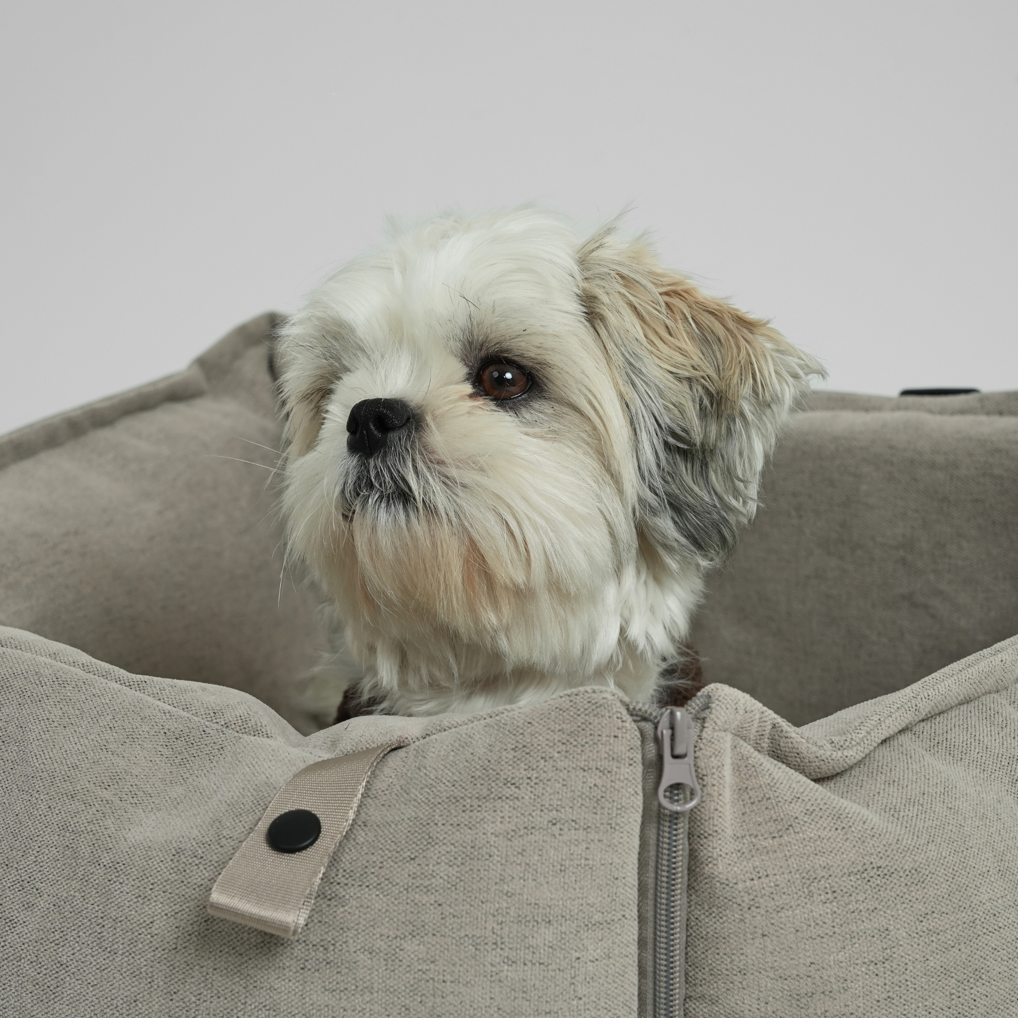 Fenja 2-in-1 Autostoel voor Honden | Dune