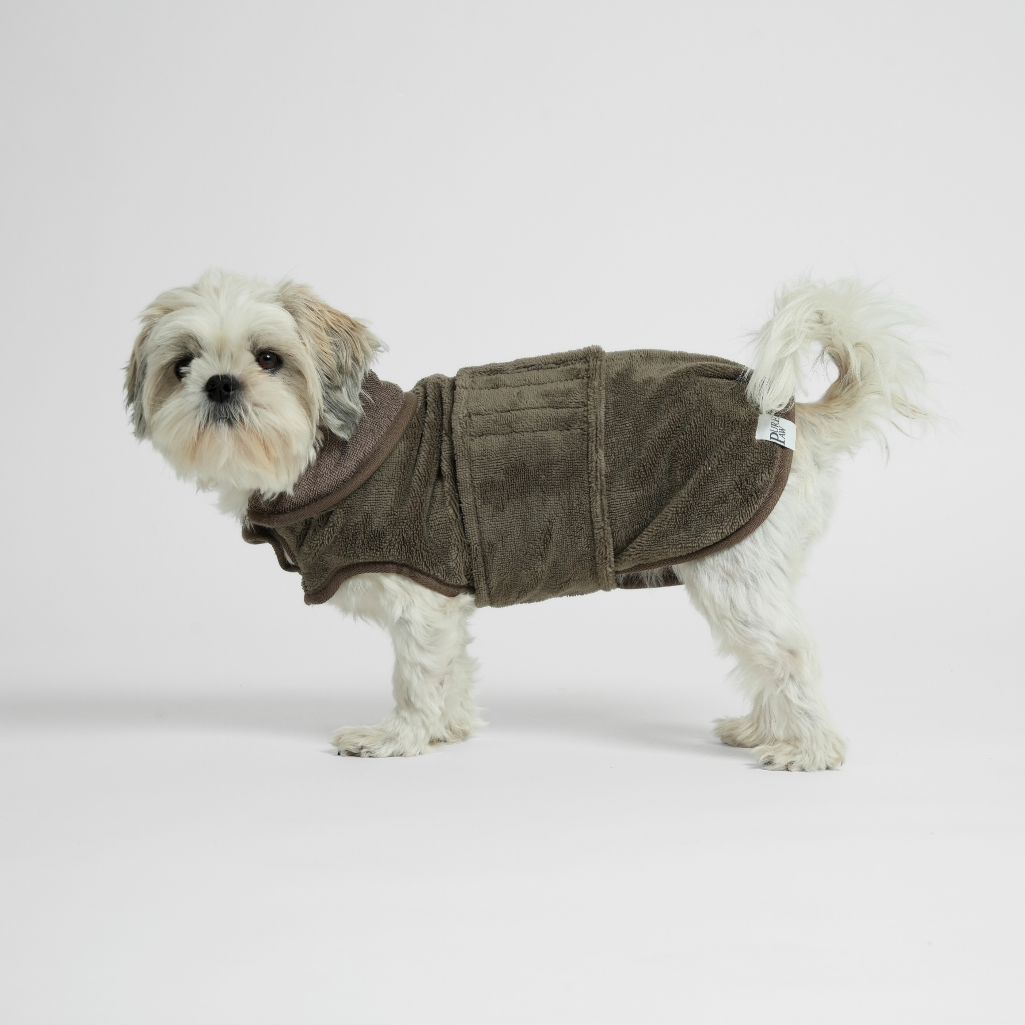 Kleine hond met een bamboejasje in kleding op een witte achtergrond