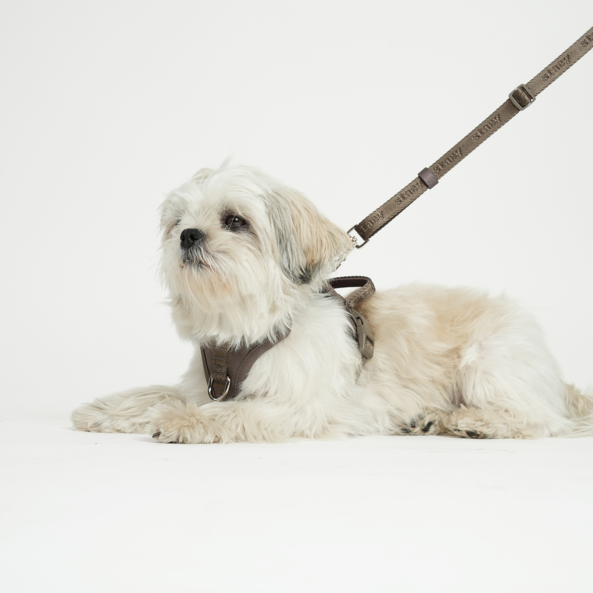 Harnais pour chien Elma Active | Taupe