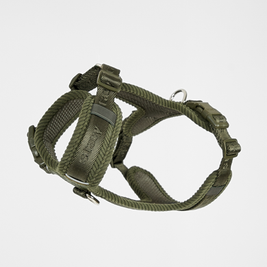 Harnais pour chien Numa | Moss green