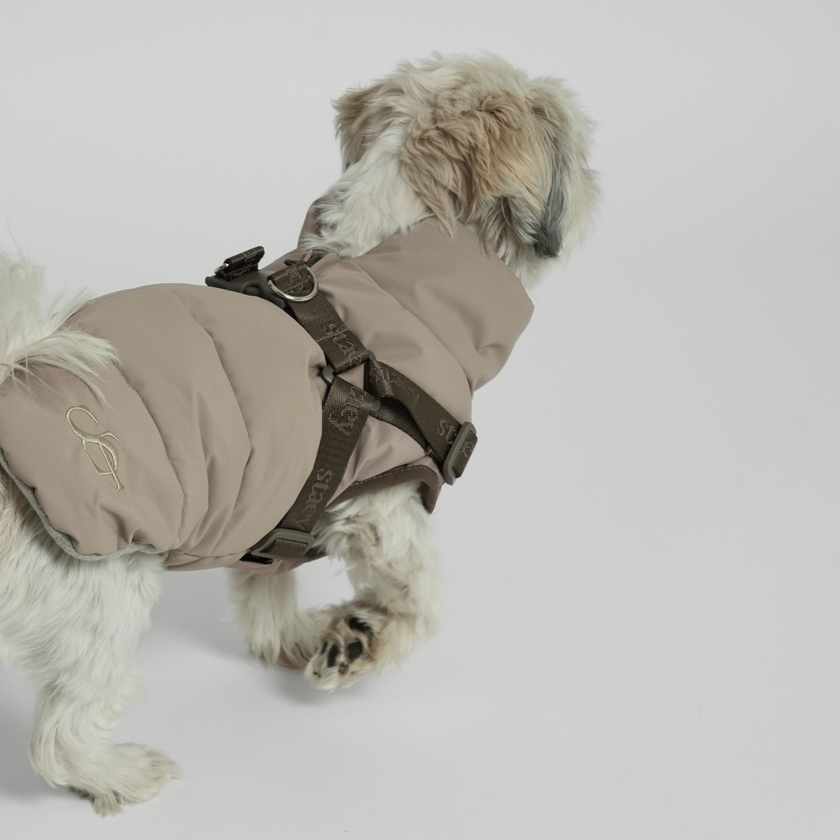 Un shih tzu vu de dos, vêtu d'un manteau matelassé couleur taupe et d'un harnais