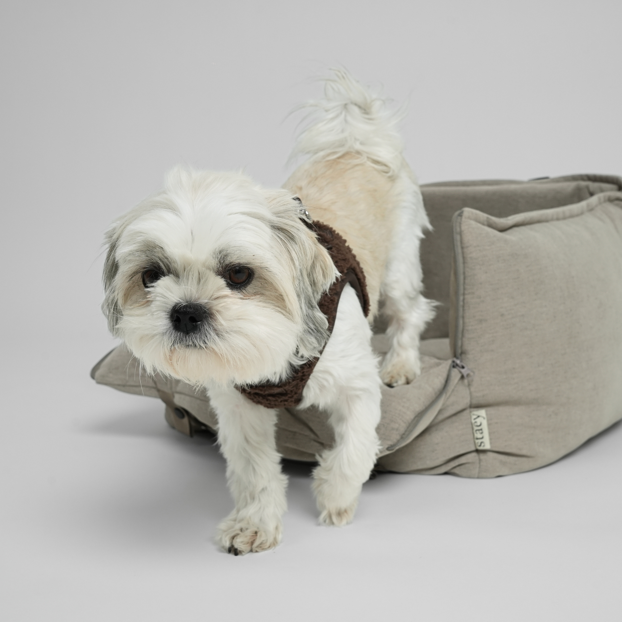 Fenja 2-in-1 Autostoel voor Honden | Dune