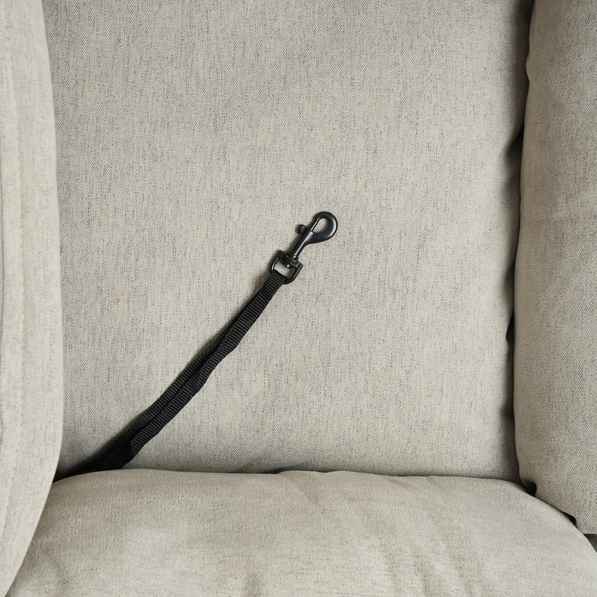 Fenja 2-in-1 Autostoel voor Honden | Dune