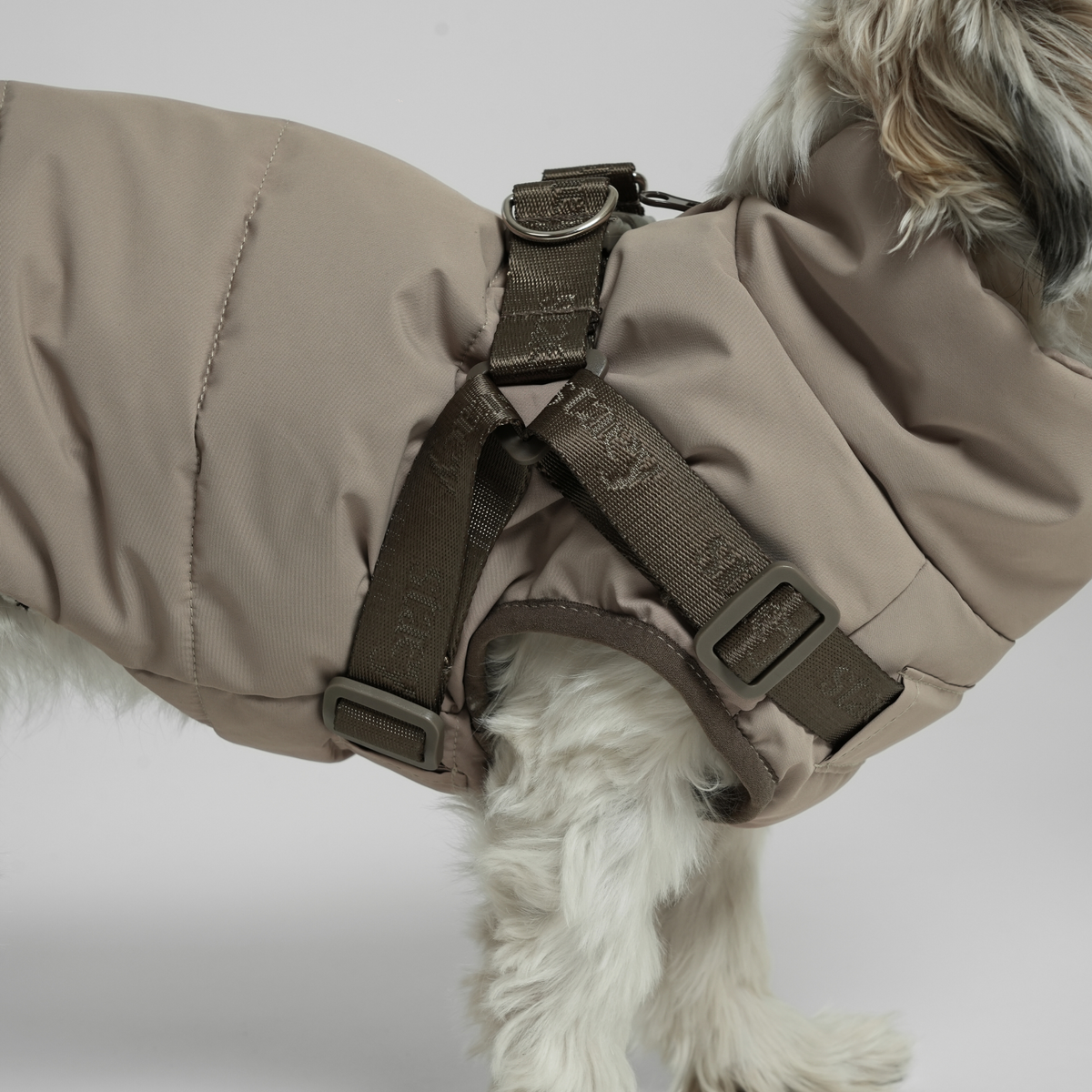Gros plan sur le manteau matelassé taupe avec harnais pour chien porté par un chien blanc
