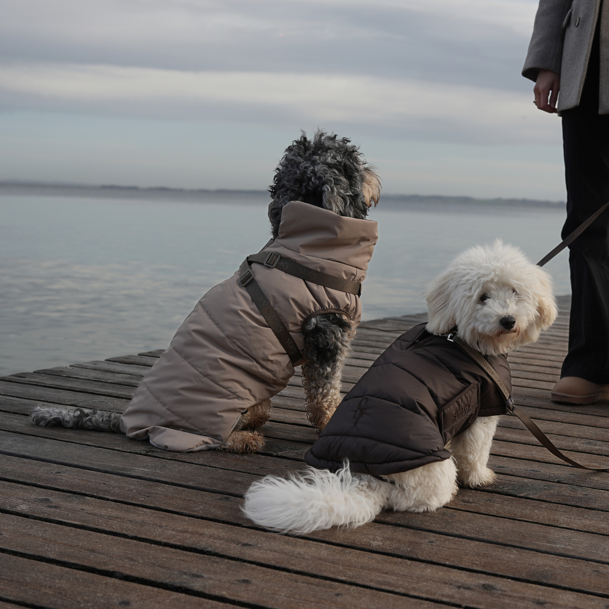 Twee honden op een houten steiger, gekleed in gewatteerde Nora-jassen, één in de kleur Taupe en één in de kleur Espresso