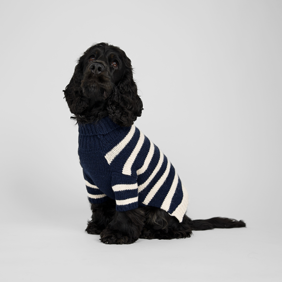 Liva Dog Sweater | Midnight/Oat