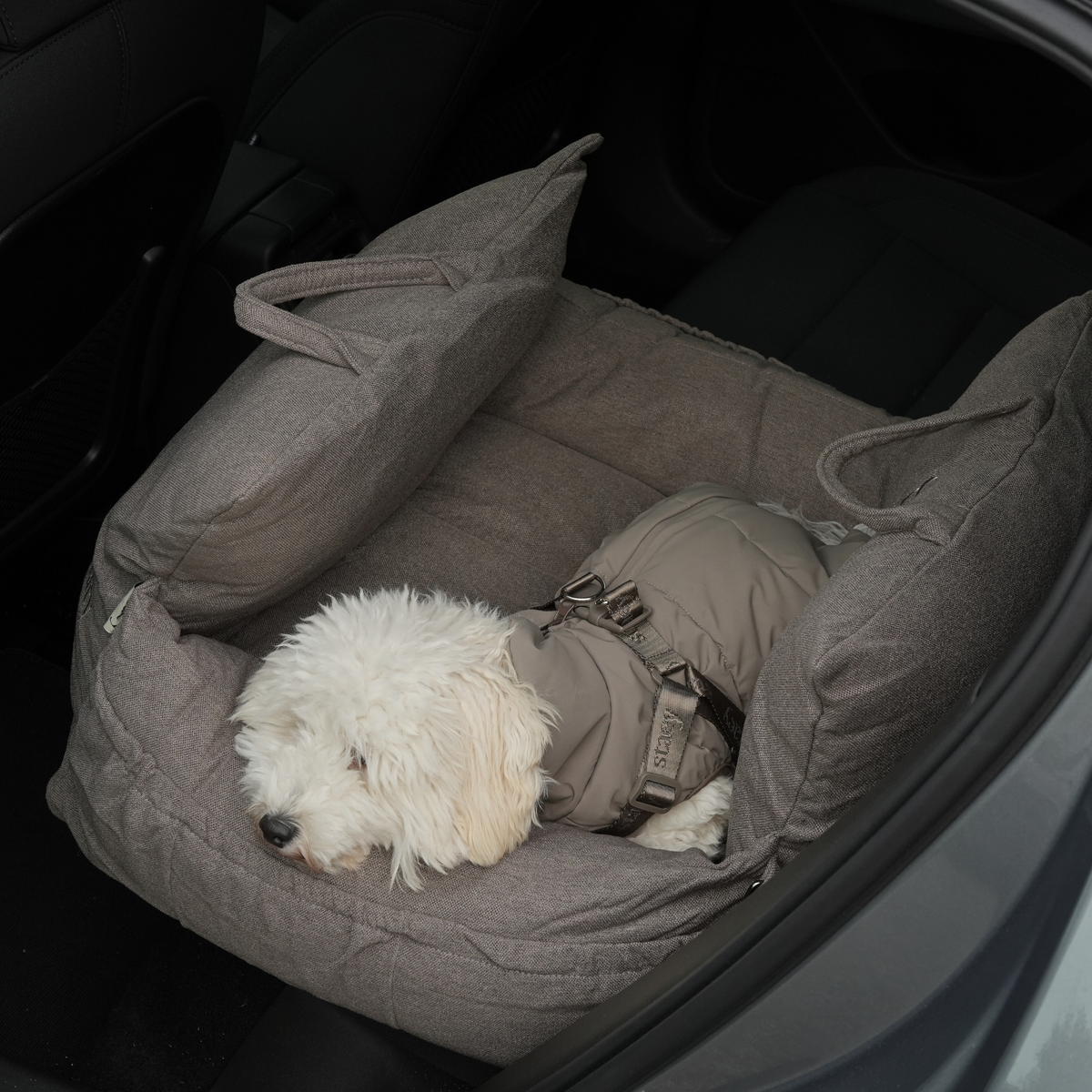 Small white dog lying in a taupe car seat in a car boot