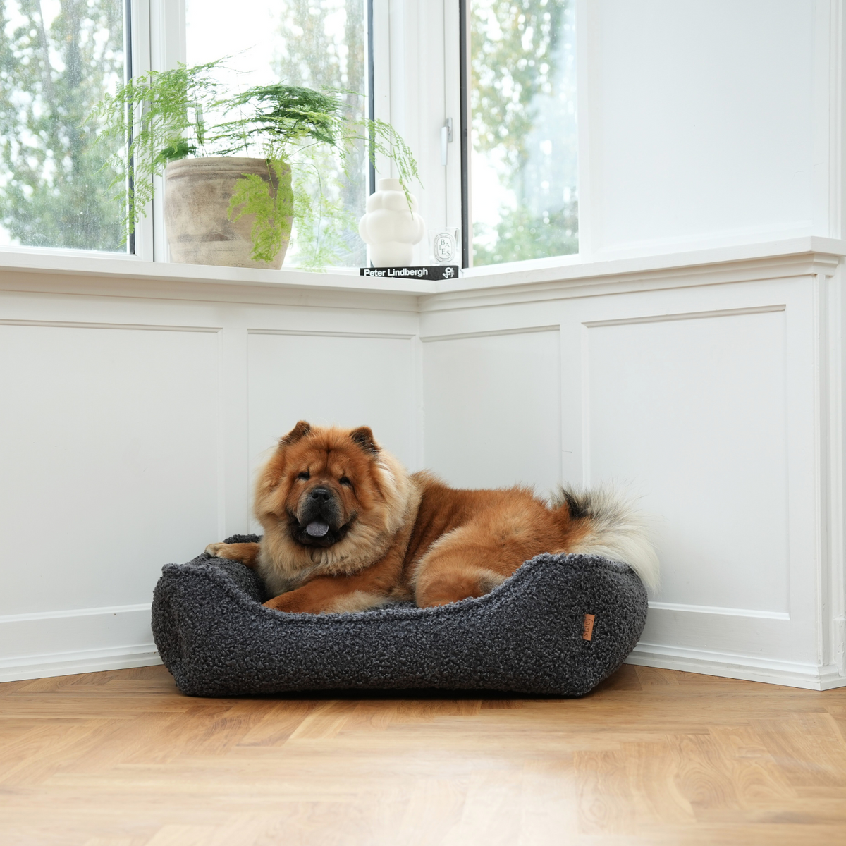 Een chowchow ligt in de ‘Storm Curly Bouclé’-hondenmand bij een raam