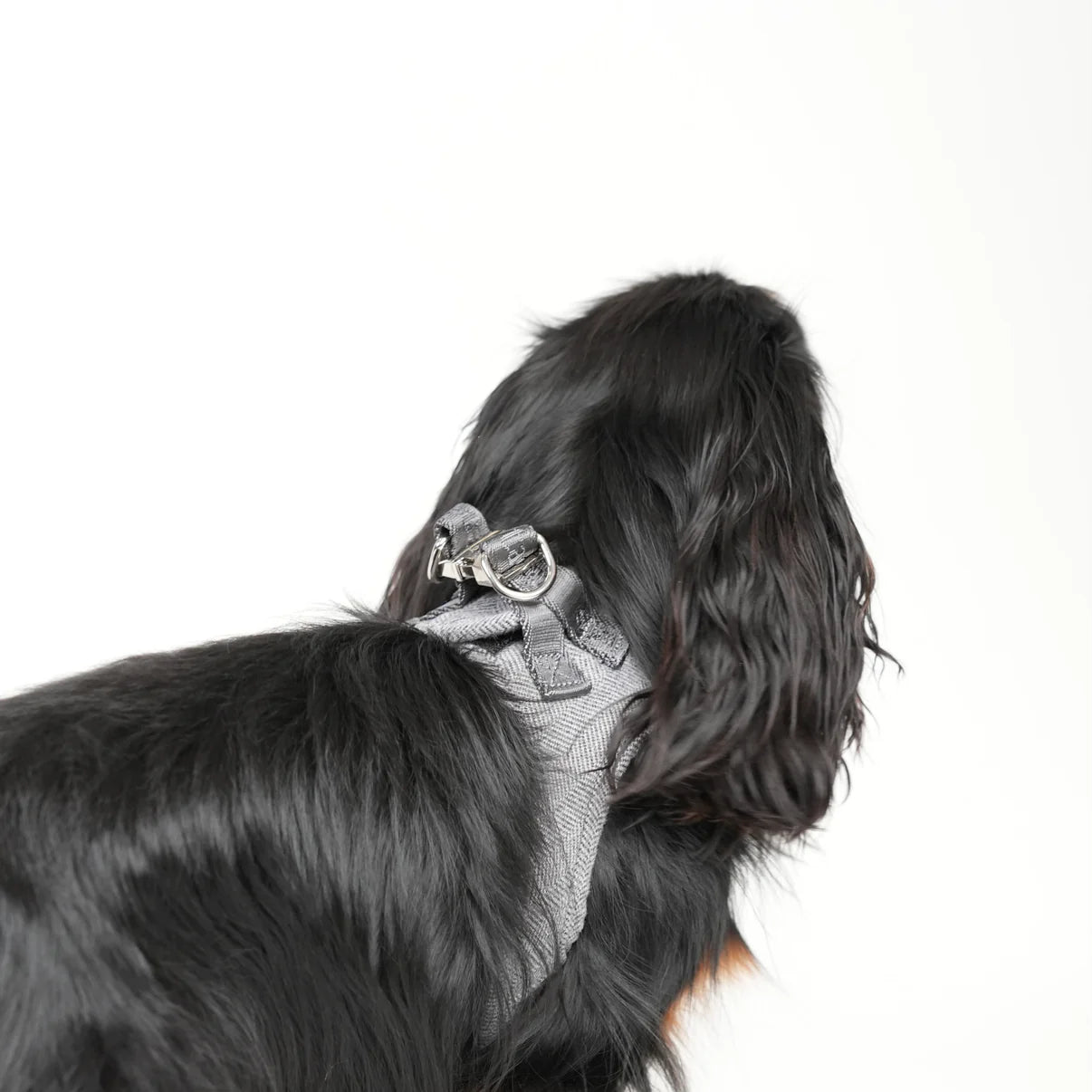 Saga Step-in hondentuig | Dusty Blue