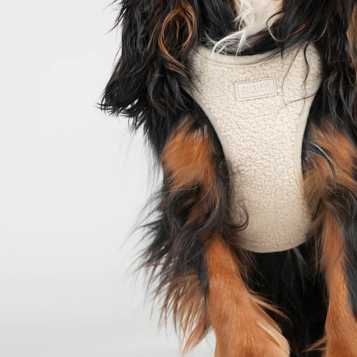 Teddy Step-In Dog Harness | Nature