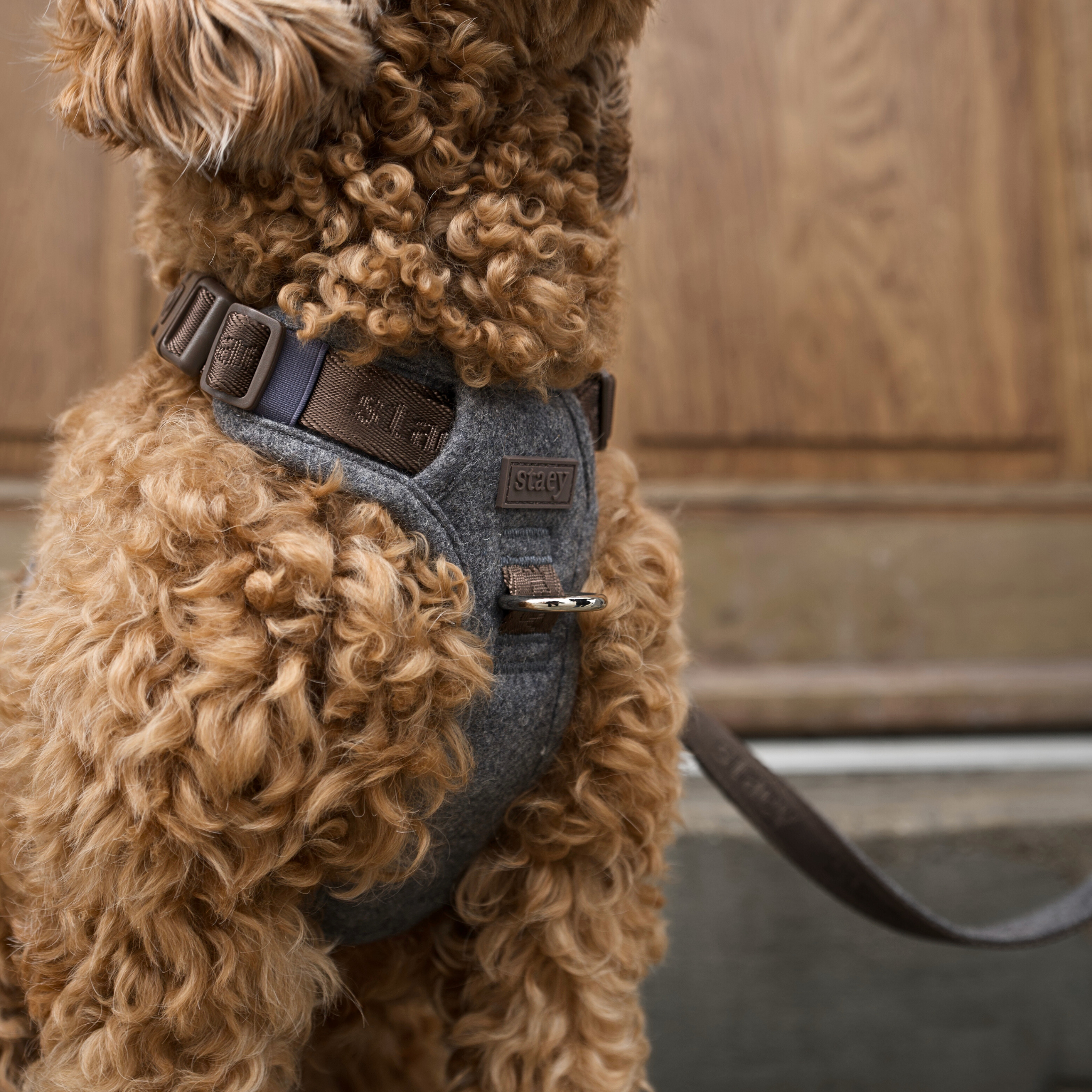 Elma hondentuig | Stone