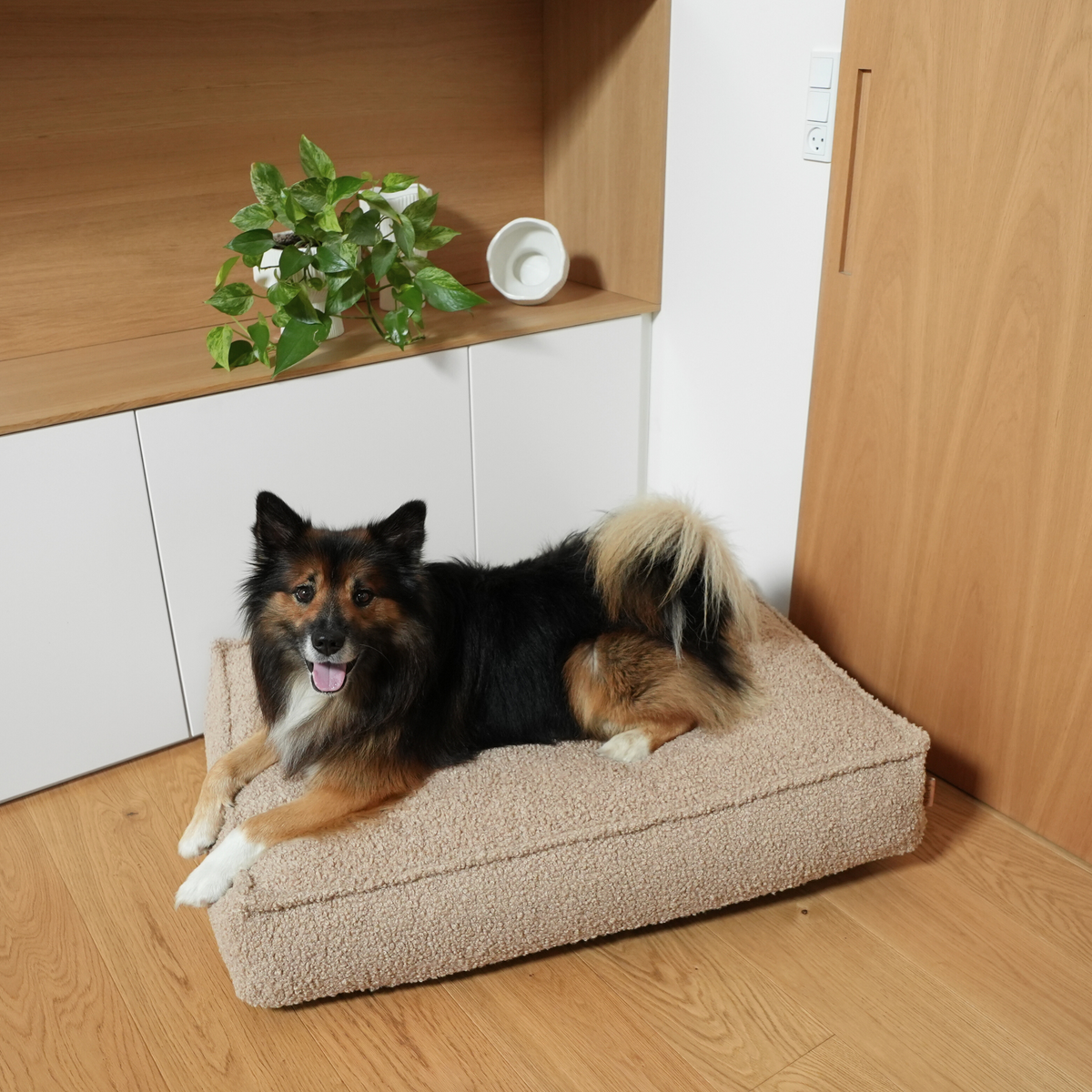 Een herdershond ligt in een hoek op een zandkleurig, gekruld Bouclé-hondenmatras