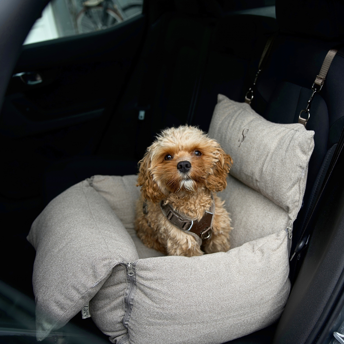 Thea 3-in-1 Autostoel voor Honden | Herringbone Mocca