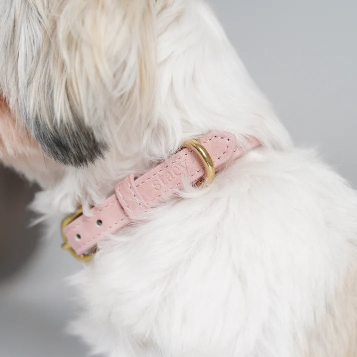 Grace leren hondenhalsband | Dusty Rose