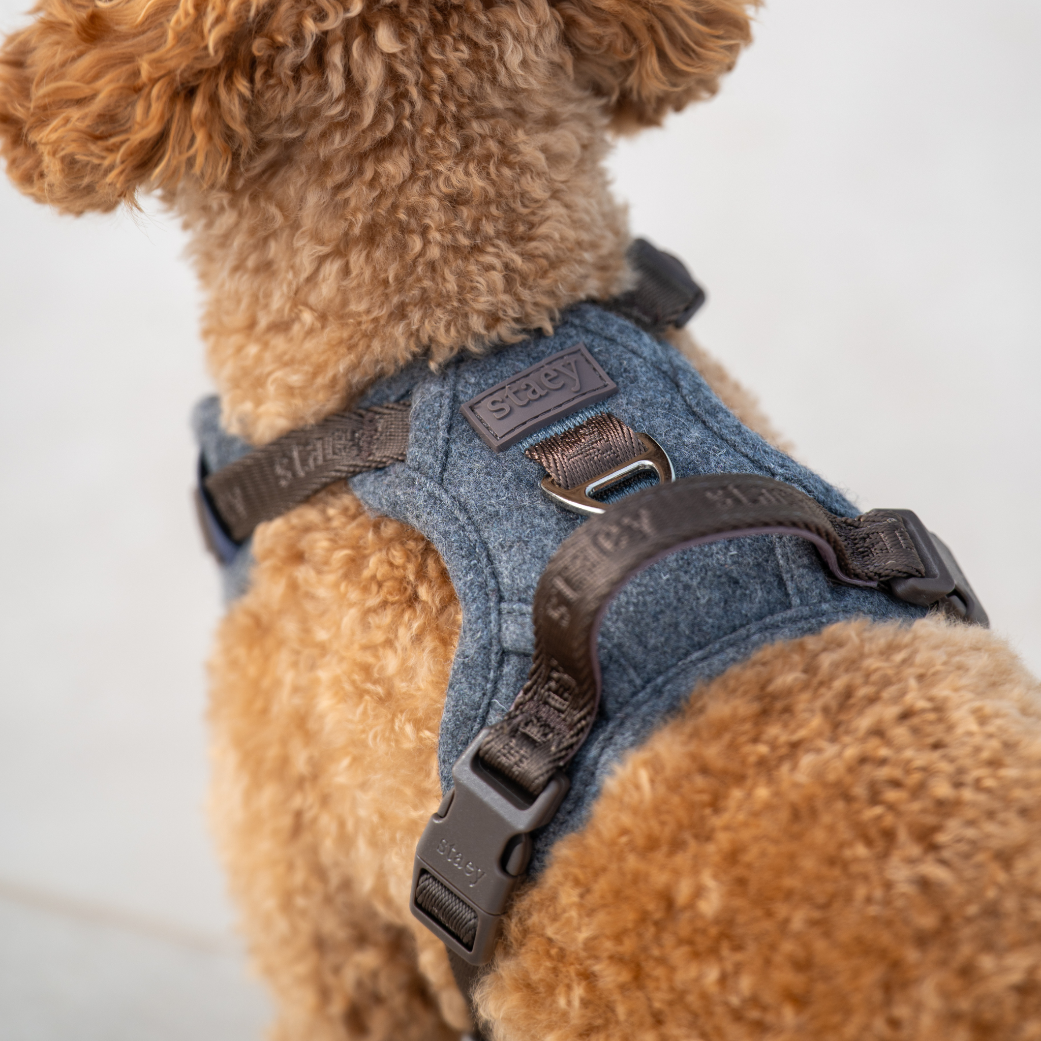 Harnais pour chien Elma | Stone
