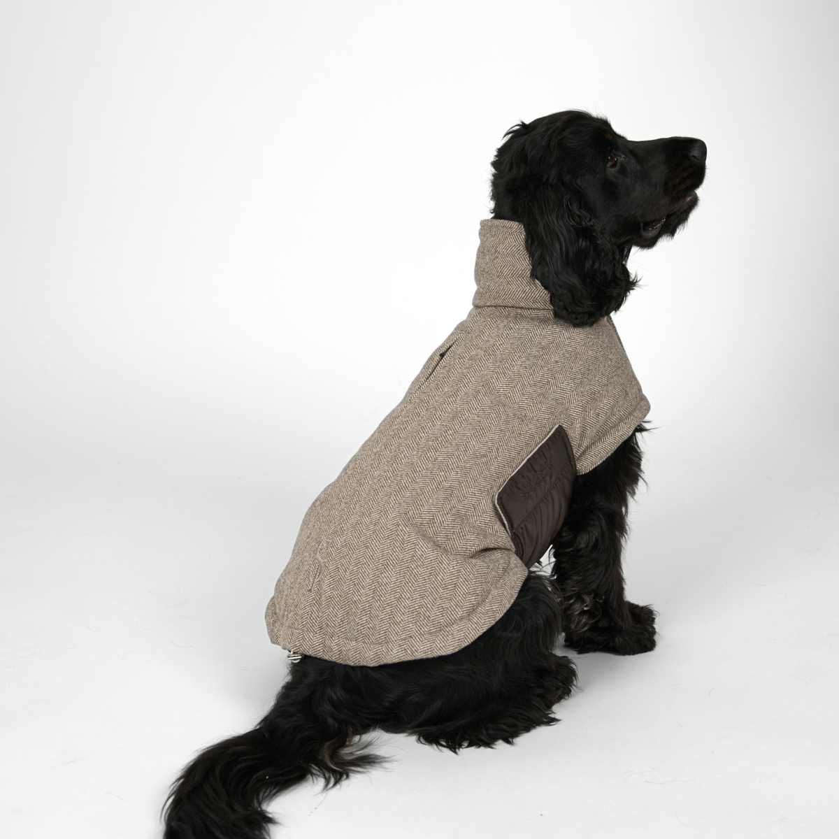 Nora Hondenjas | Herringbone Mocca