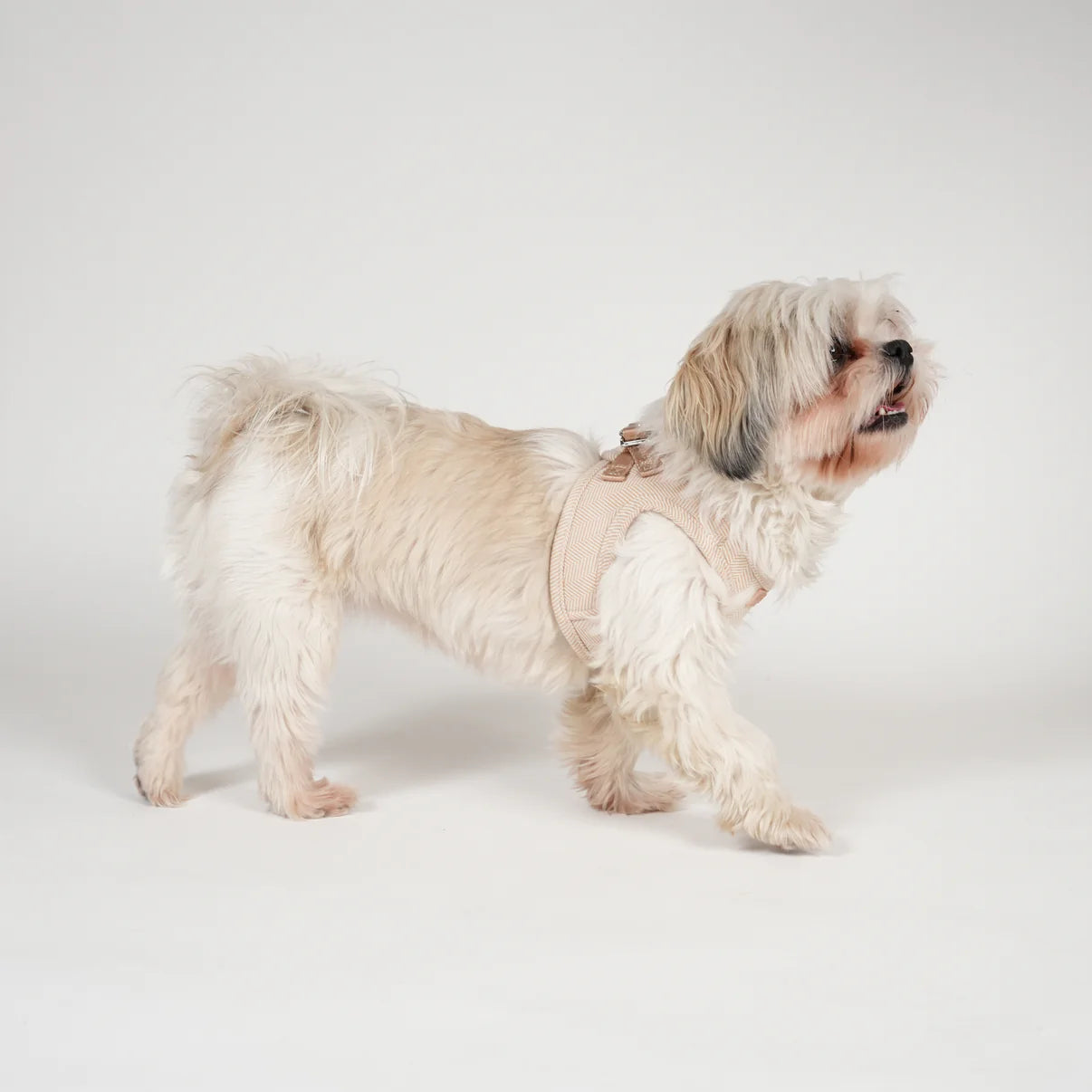 Harnais step-in pour chien Saga | Light Rose