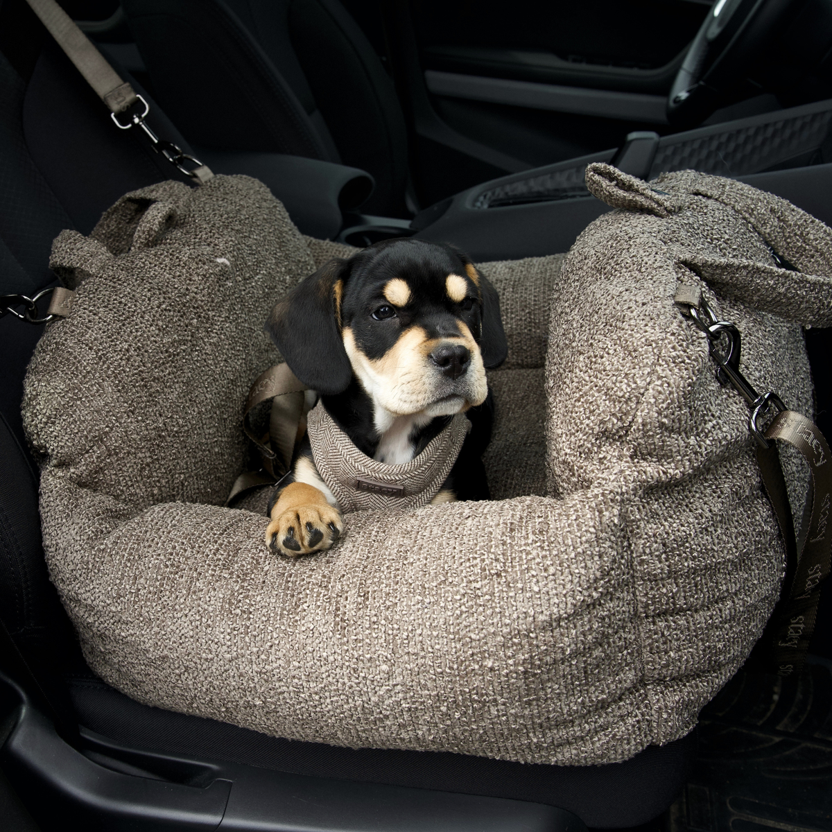 Black and tan puppy lying in a taupe bouclé car seat on the back seat of a car