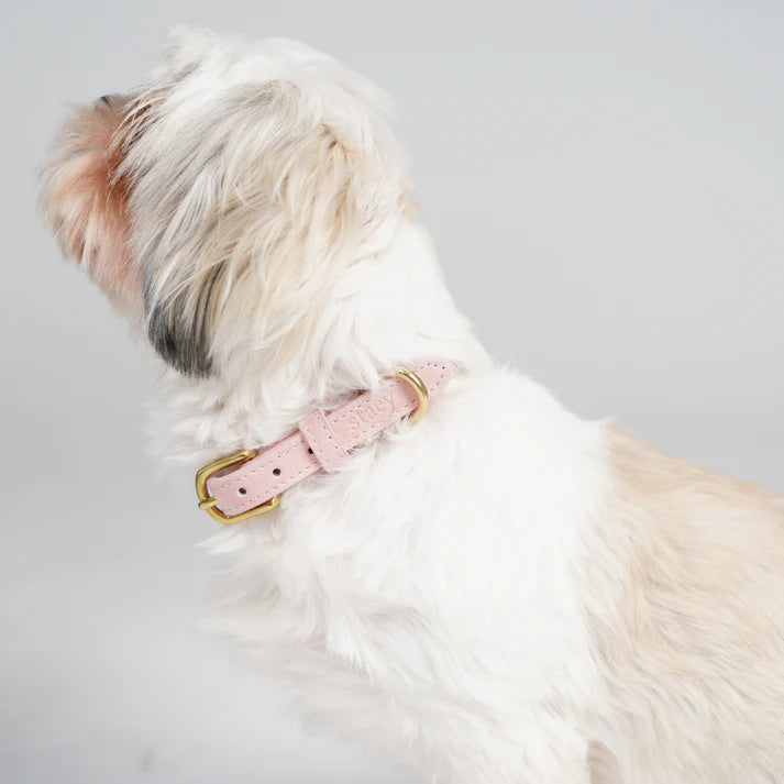 Grace leren hondenhalsband | Dusty Rose