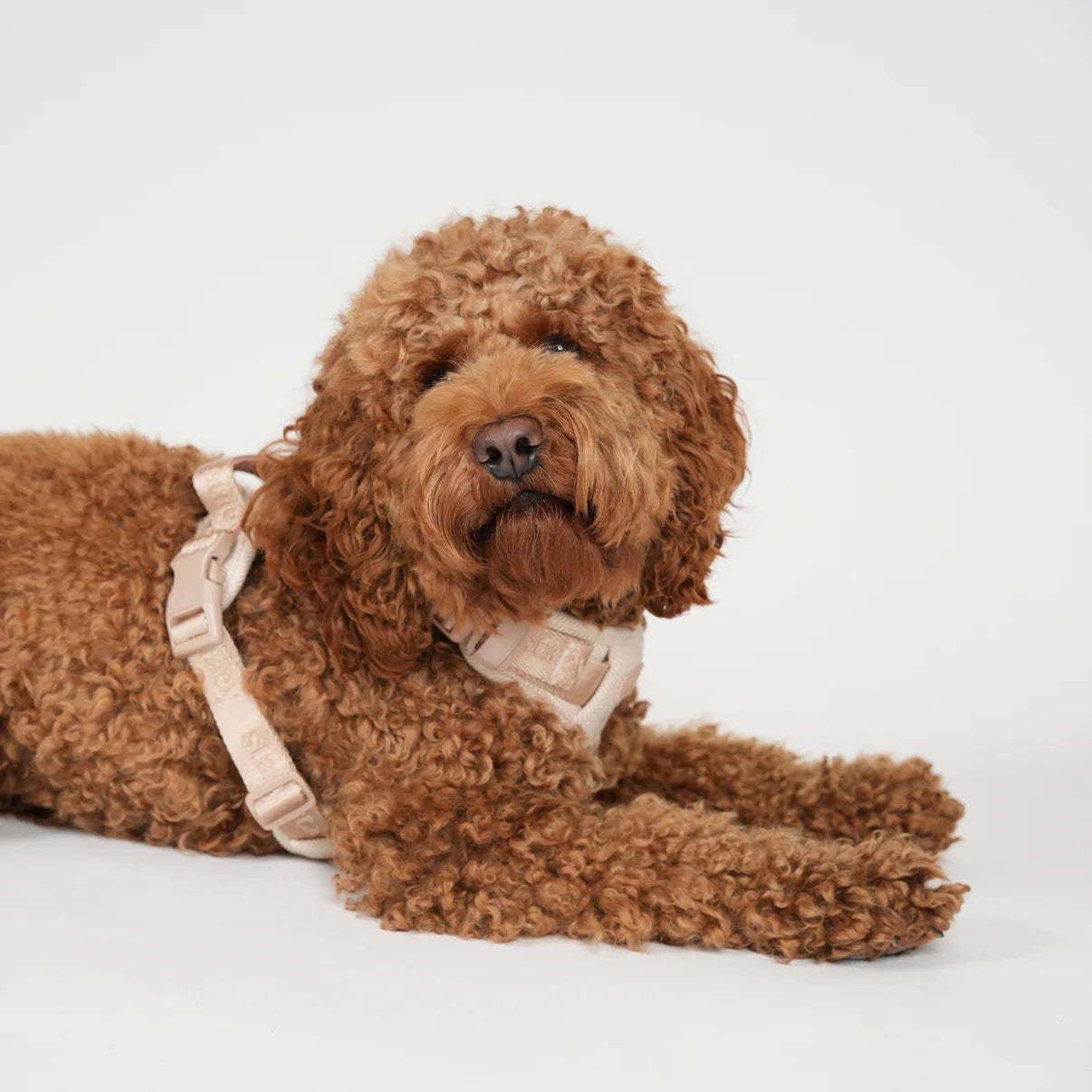 Elma hondentuig | Light Rose