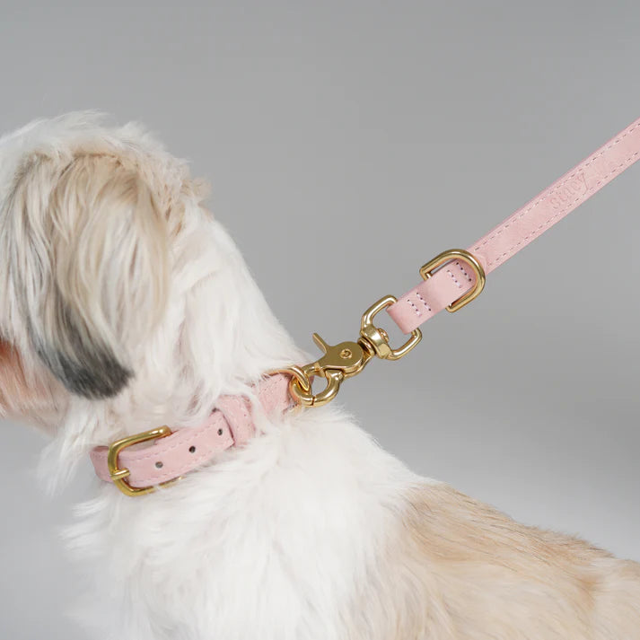 Grace leren hondenhalsband | Dusty Rose