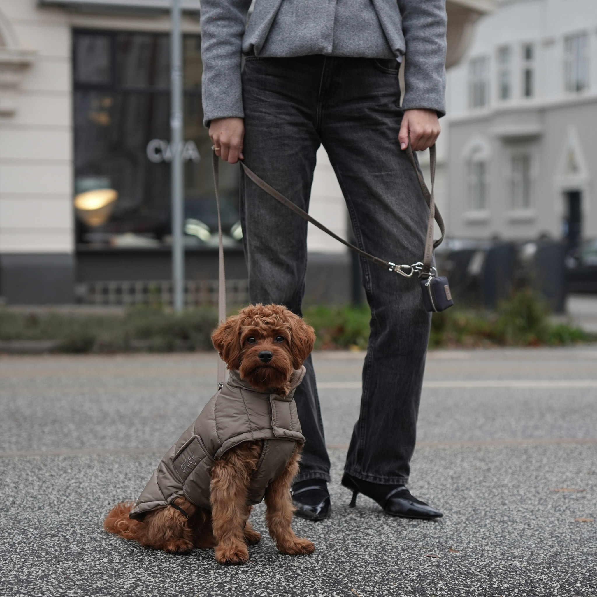 Nora hondenjas | Taupe