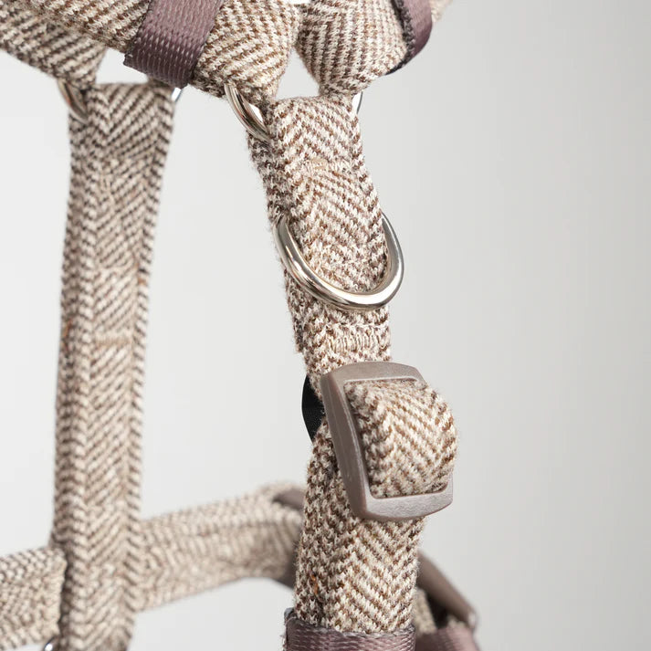 Tara H-Hondentuig | Mocca